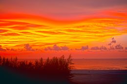 Photography, Borneo Magic - Kota Kinabalu, Anthony Horth
