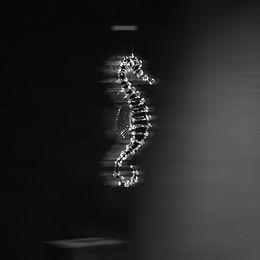 Photography, Untitled (Identity Dreams Series), Imanol Marrodán