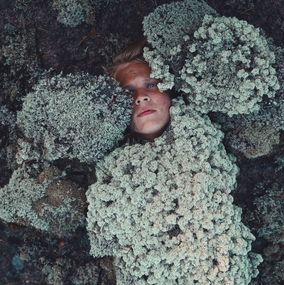Photography, Covered by Forest, Svante Gullichsen