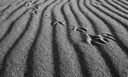Photography, Trace de vie, Regis Duvignau