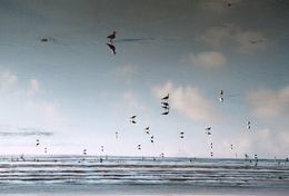 Photography, Partition sur métal, Jean François Humbert