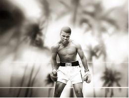 Photography, Rumble in the jungle, Axel Crieger